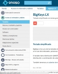 Captura de http://www.eneso.es/producto/bigkeys-lx